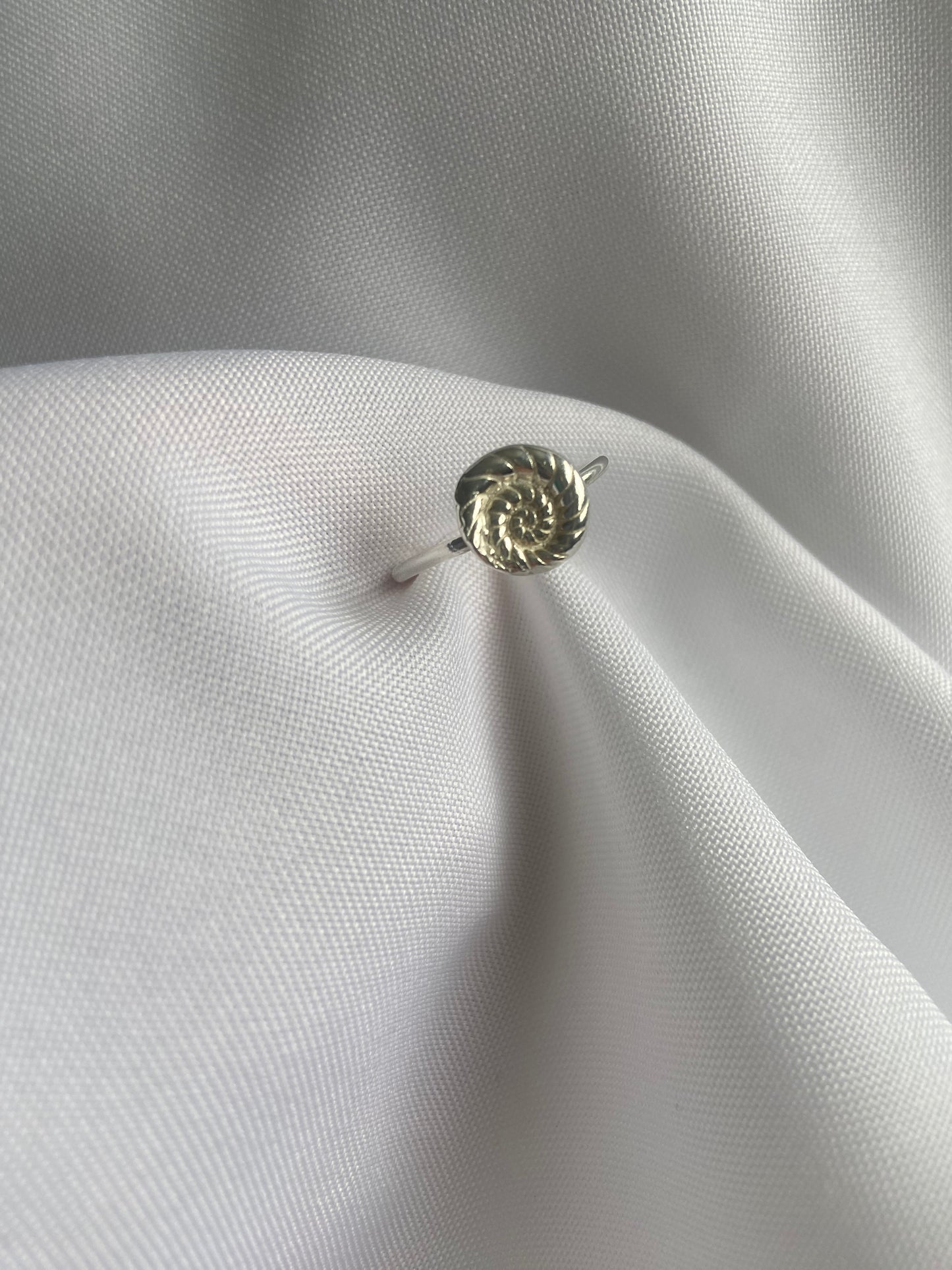 Silver Ammonite Ring