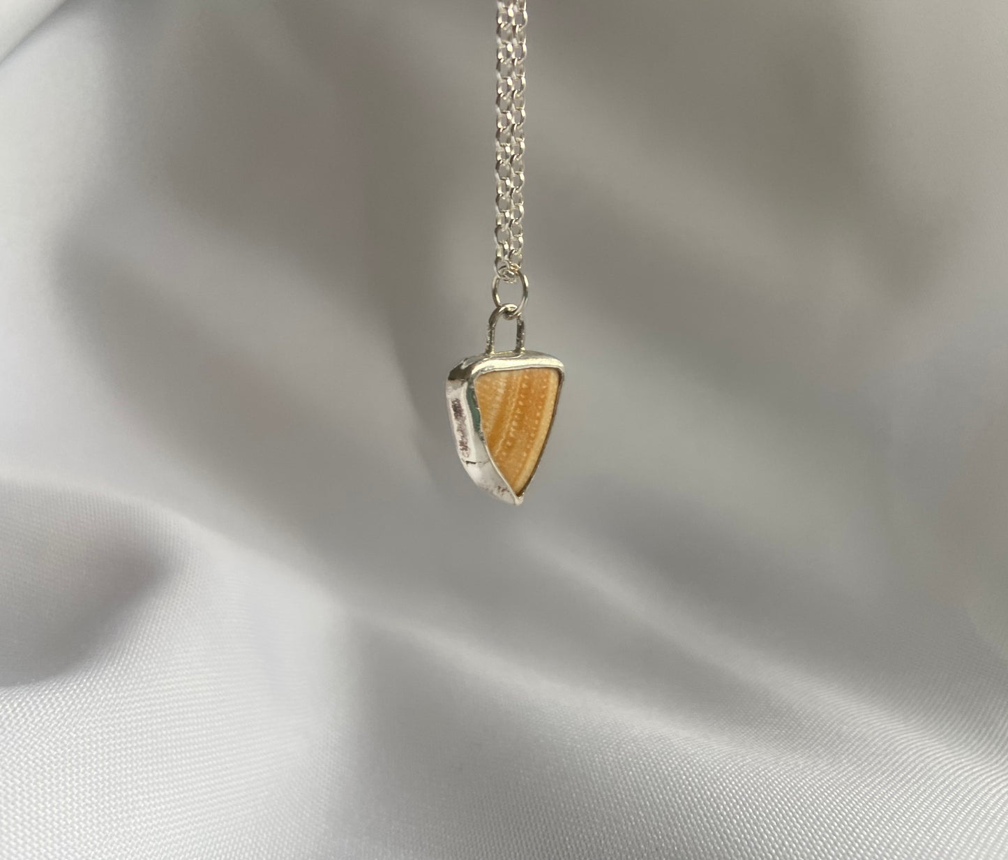 Fragmented Seashell Necklace