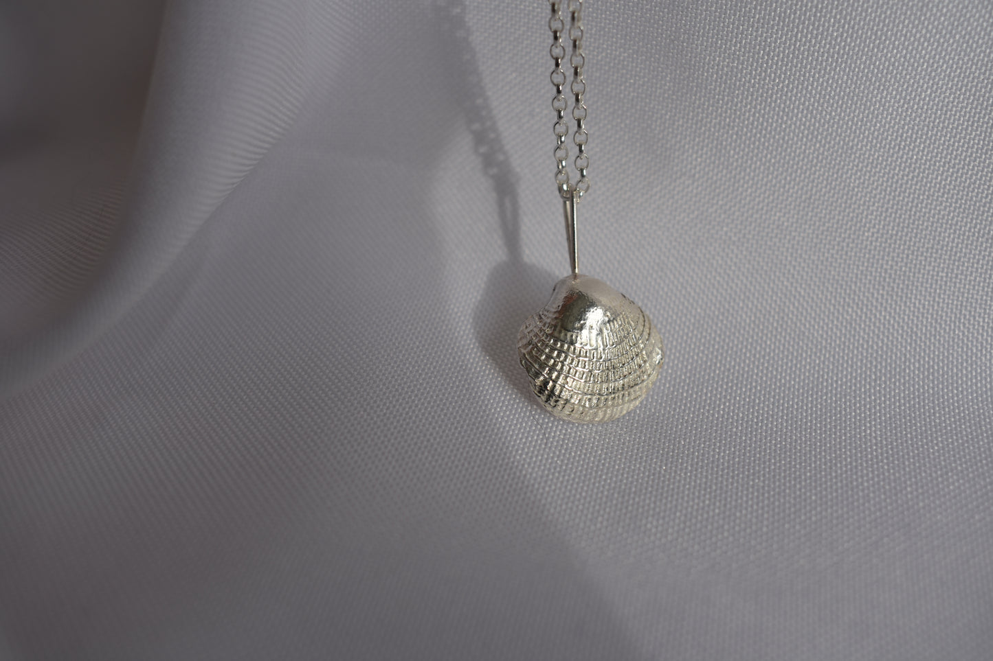 Silver Seashell Necklace