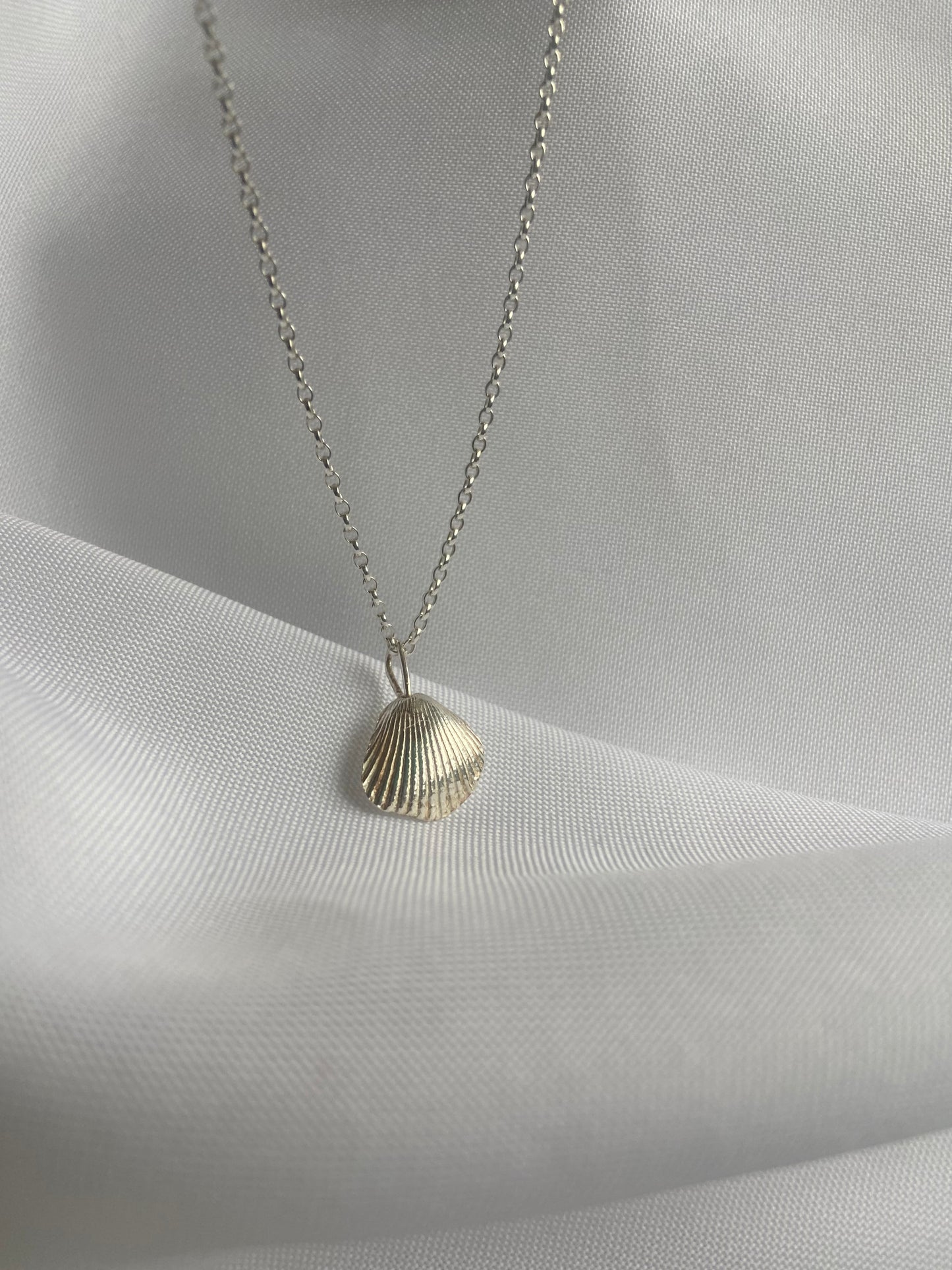 Silver Seashell Necklace