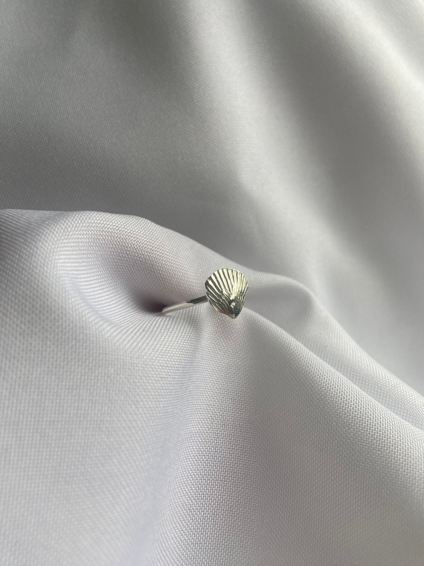 Silver Seashell Ring