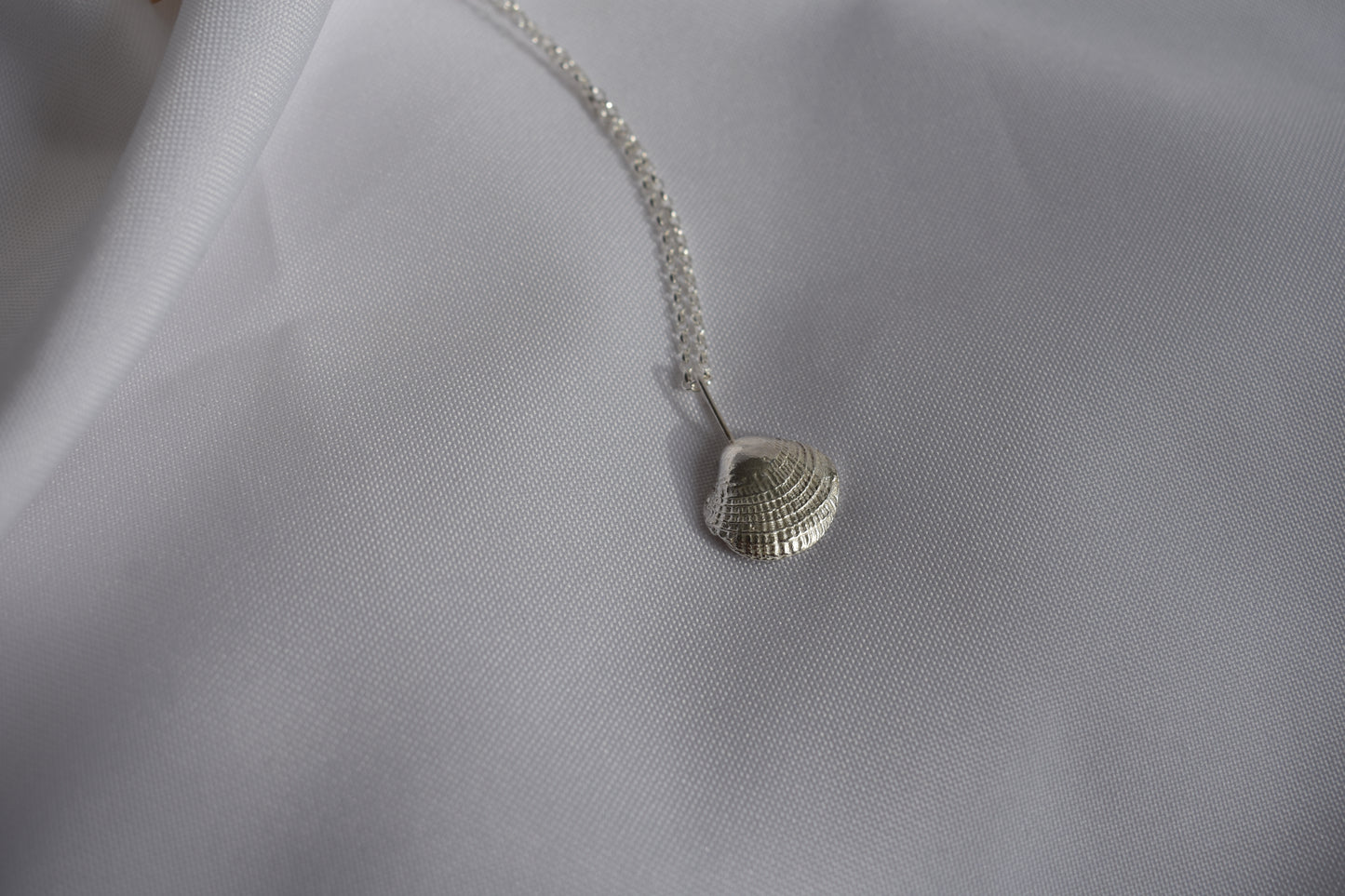 Silver Seashell Necklace
