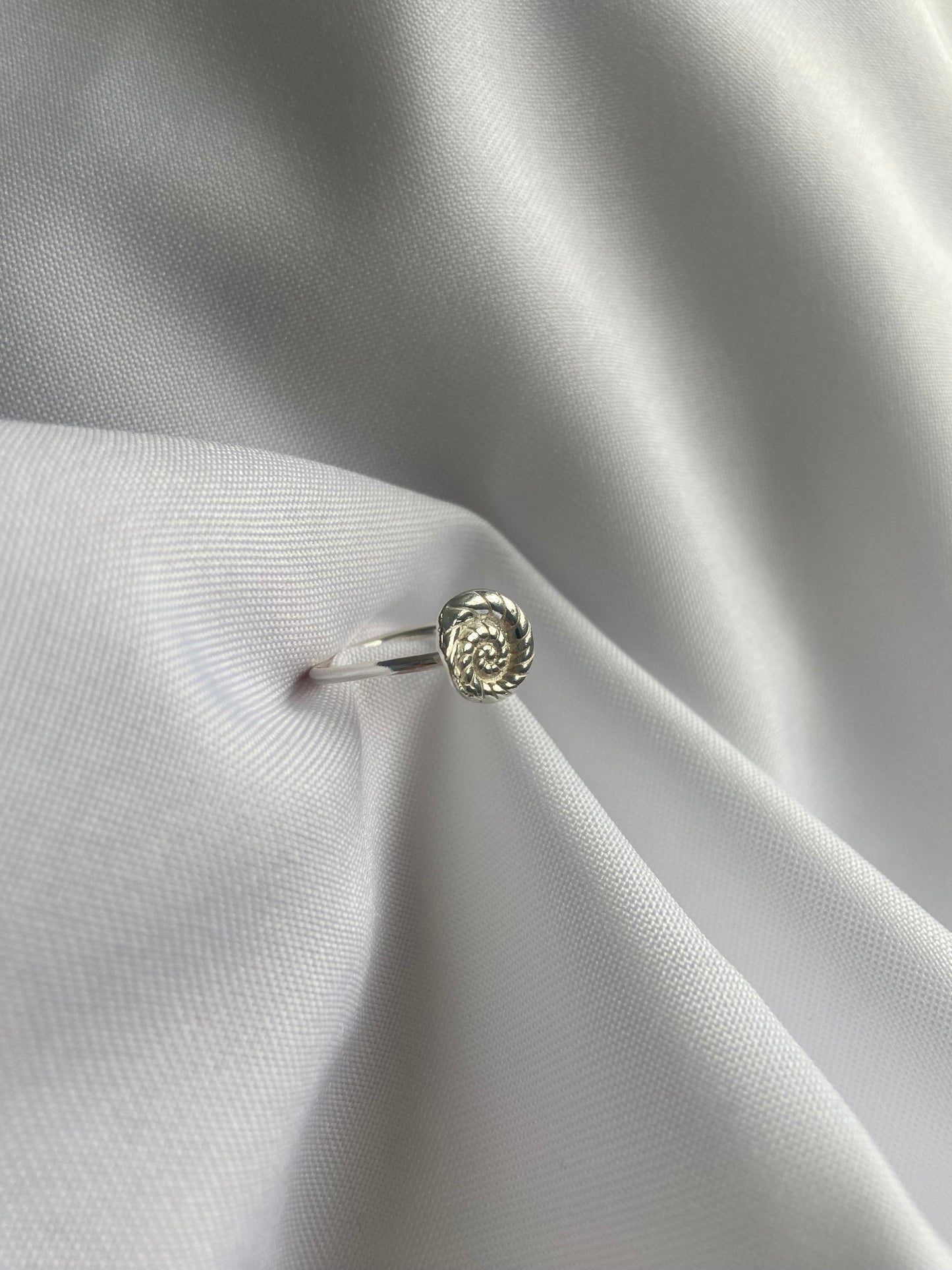 Silver Ammonite Ring