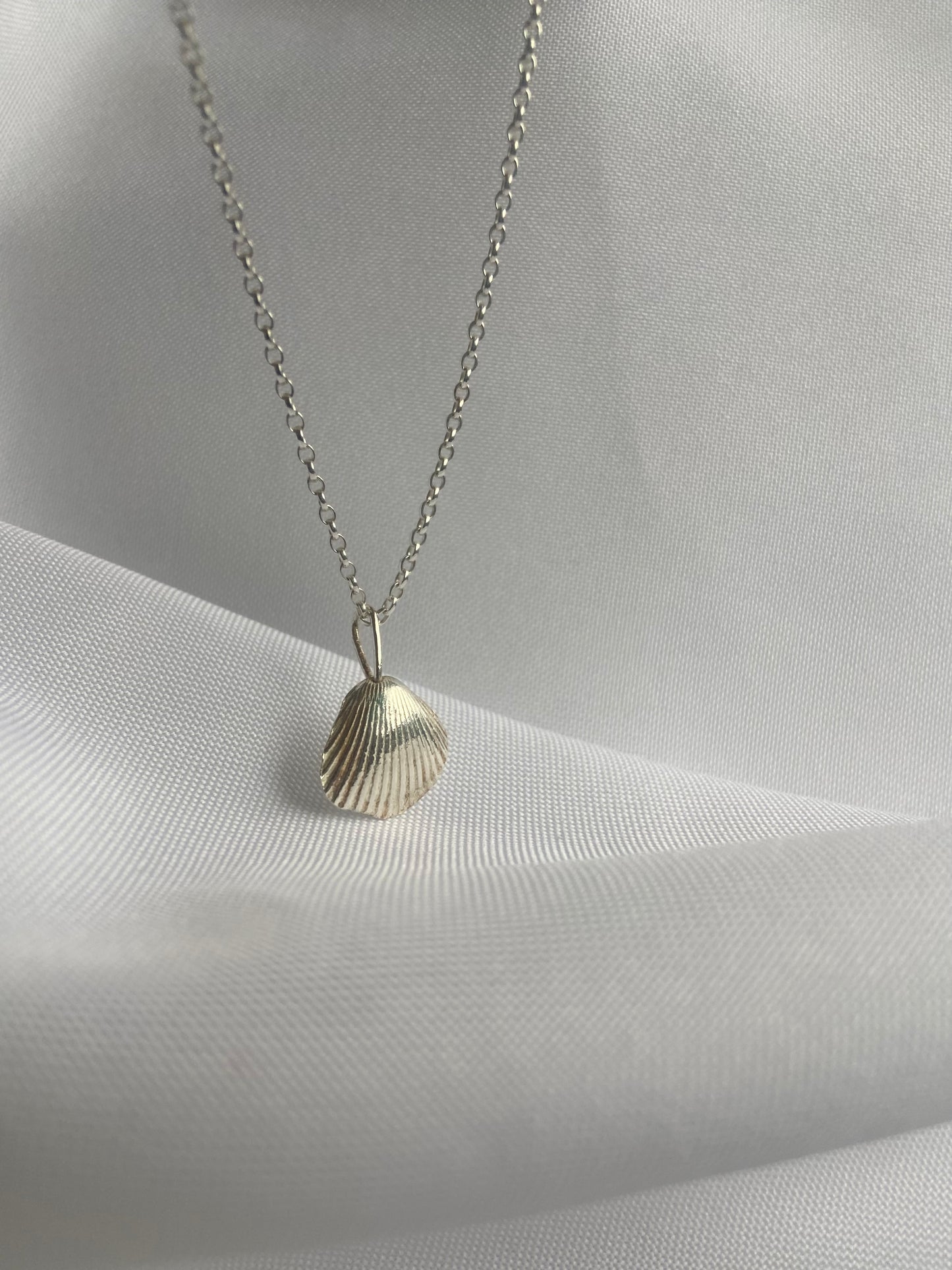 Silver Seashell Necklace