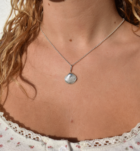 Silver Seashell Necklace