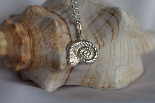 Silver Ammonite Necklace