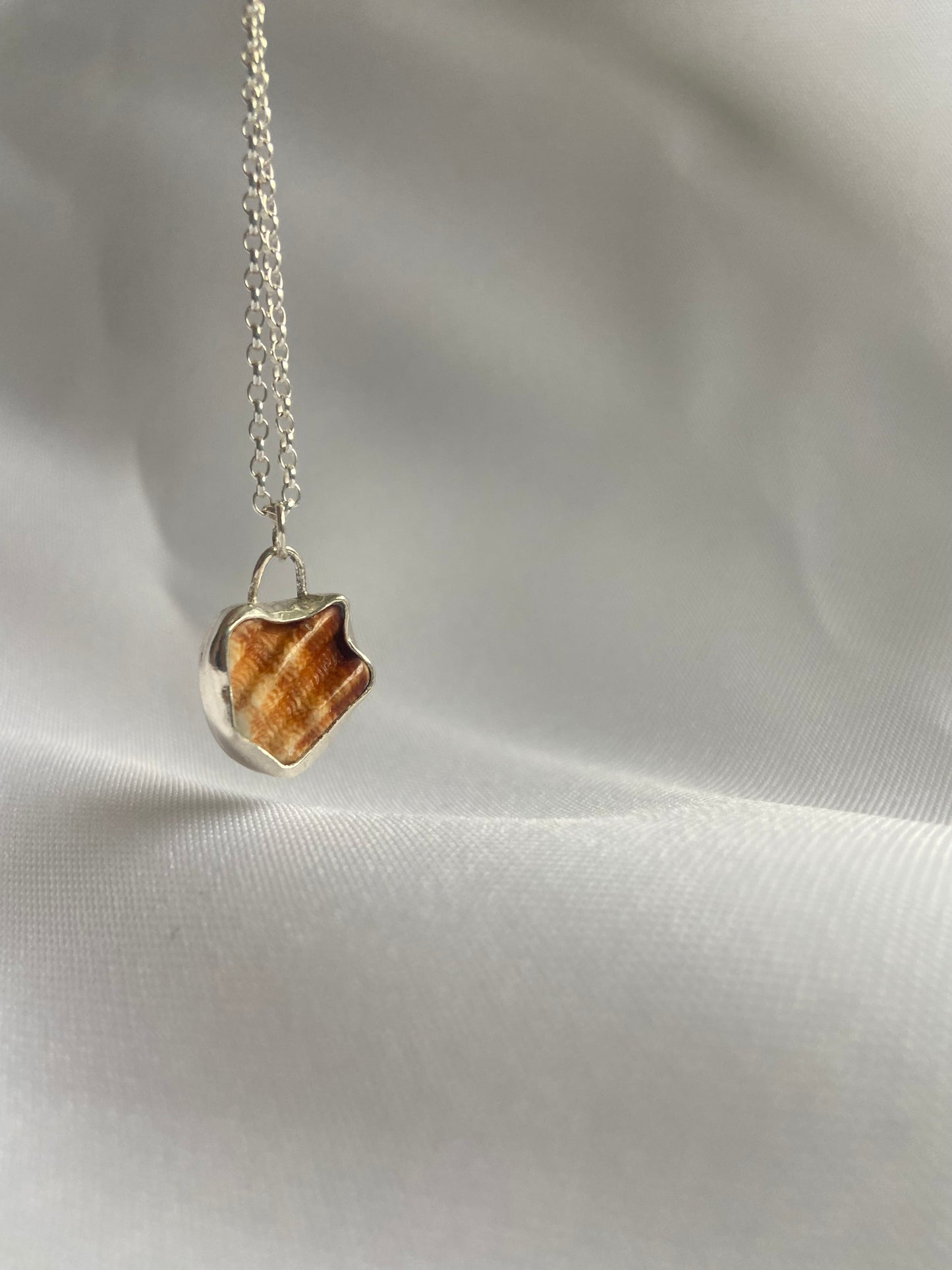 Fragmented Seashell Necklace