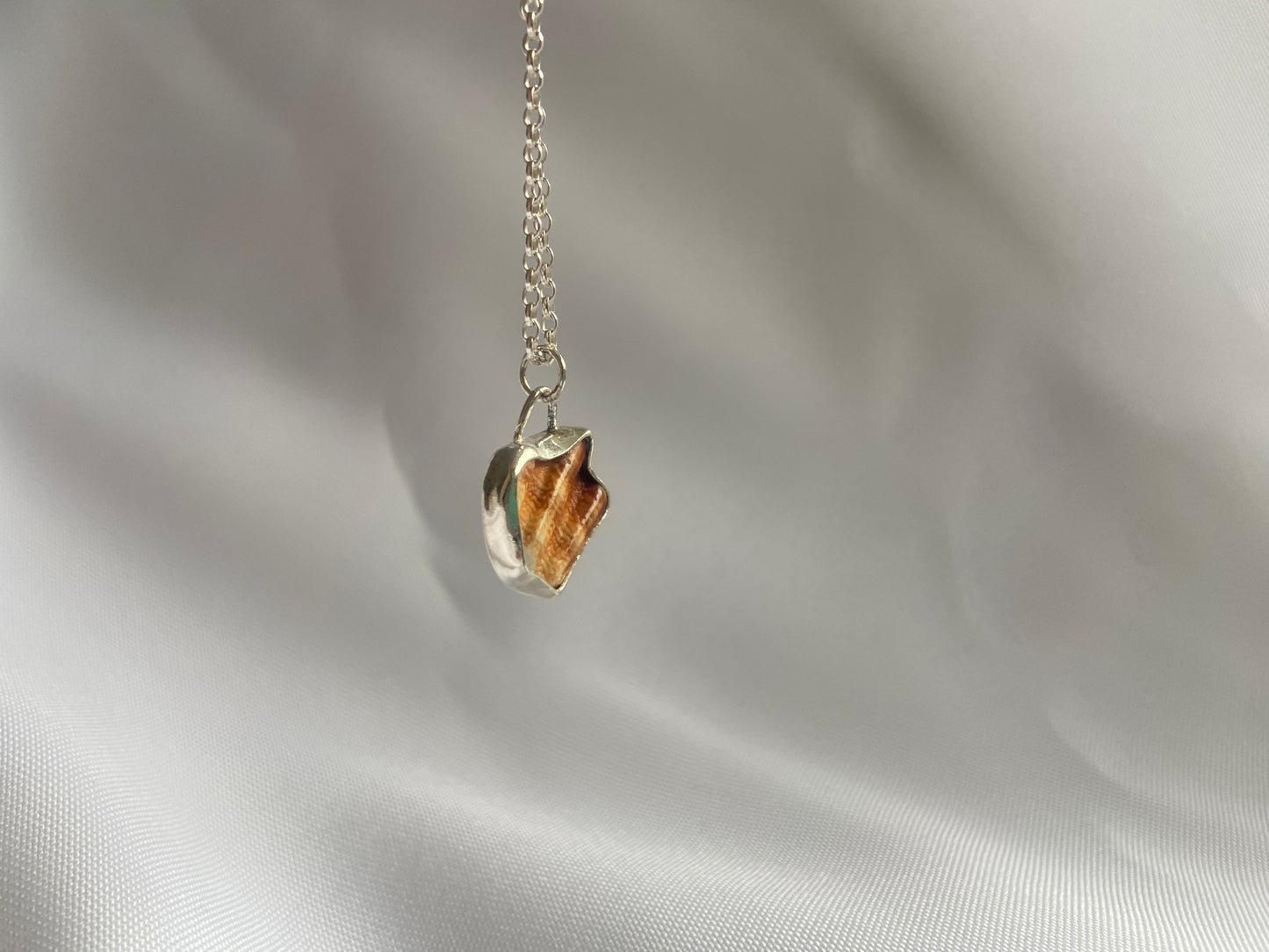 Fragmented Seashell Necklace