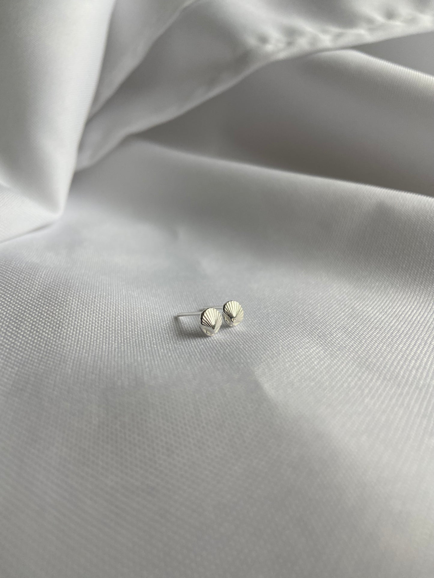 Seashell Stud Earrings