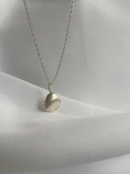 Silver Seashell Necklace
