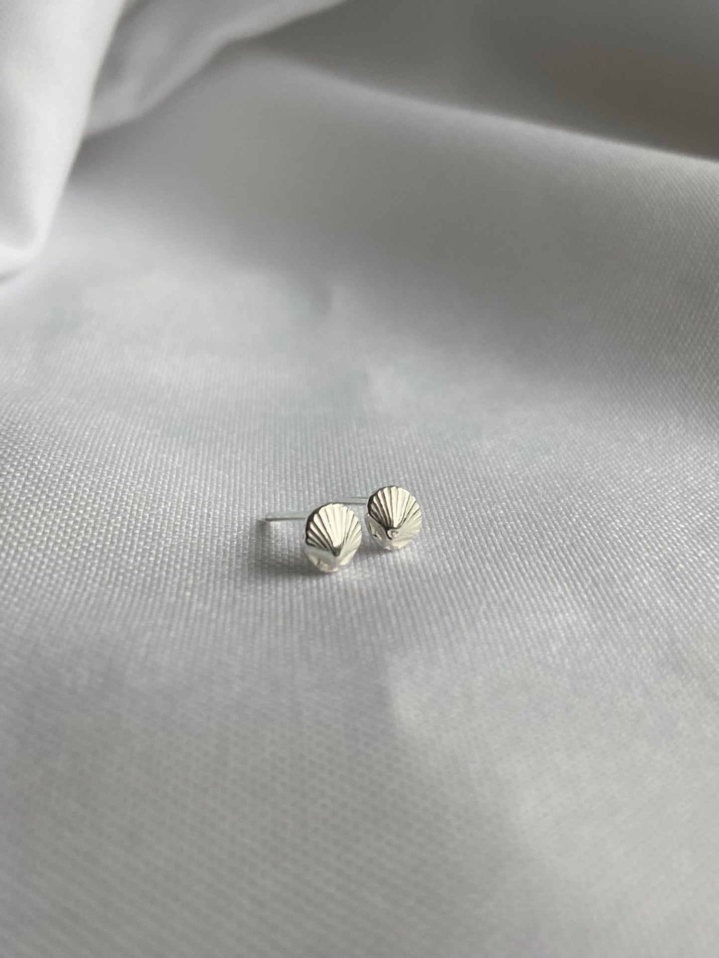 Seashell Stud Earrings