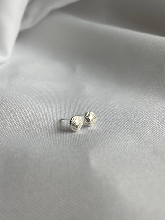 Seashell Stud Earrings