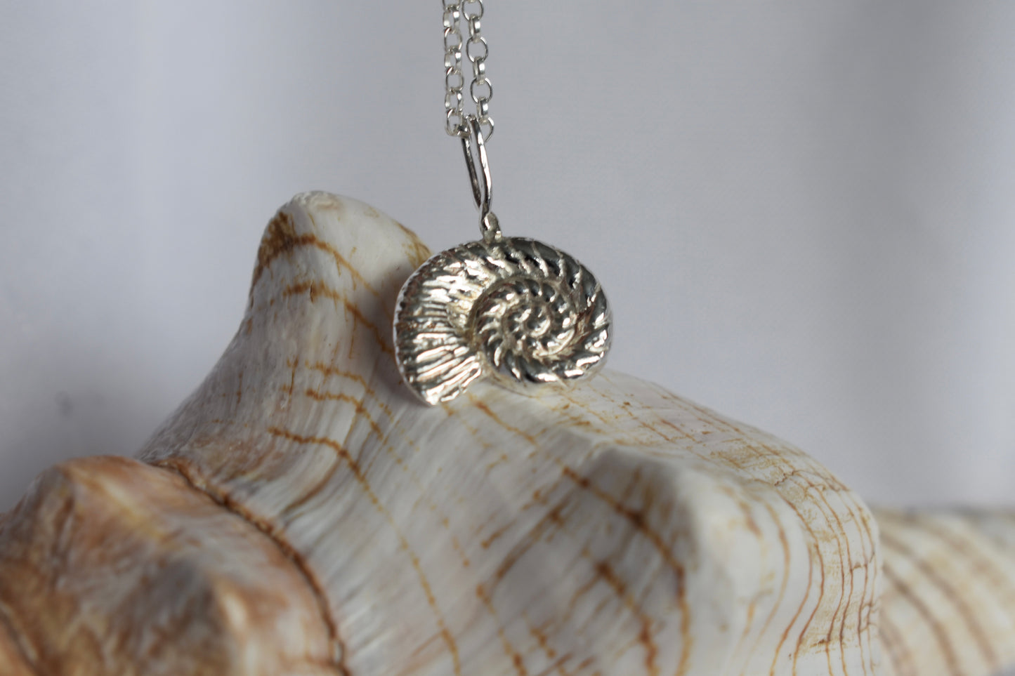 Silver Ammonite Necklace