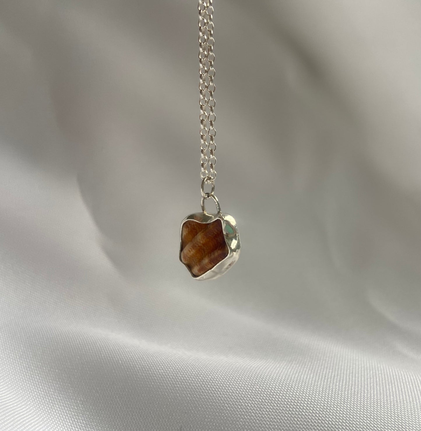 Fragmented Seashell Necklace